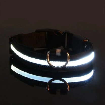 Collare e guinzaglio luminosi per cane