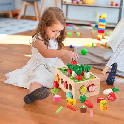 Jouet éducatif Montessori en bois de tri de formes