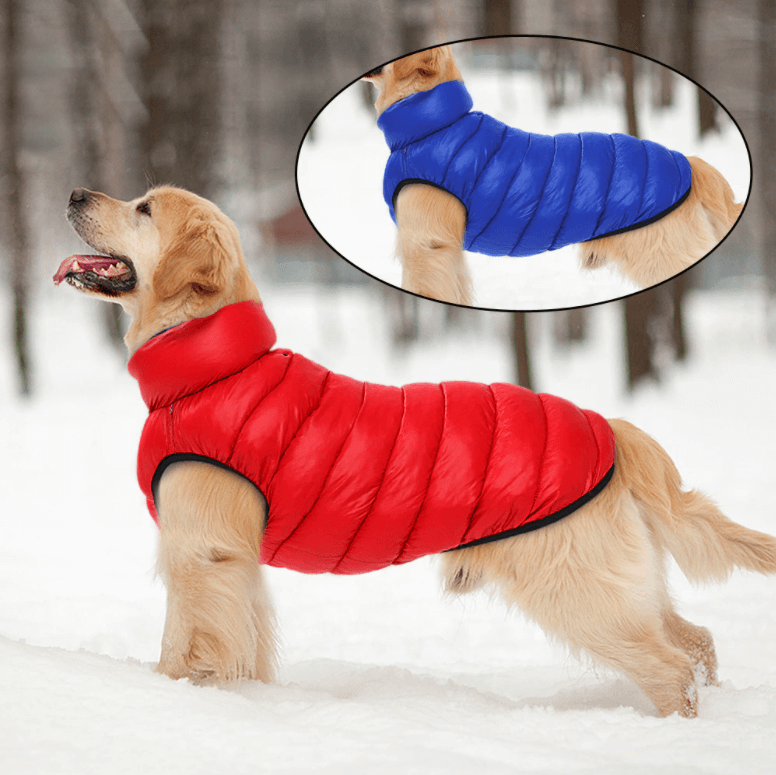 Giacca impermeabile reversibile per cane