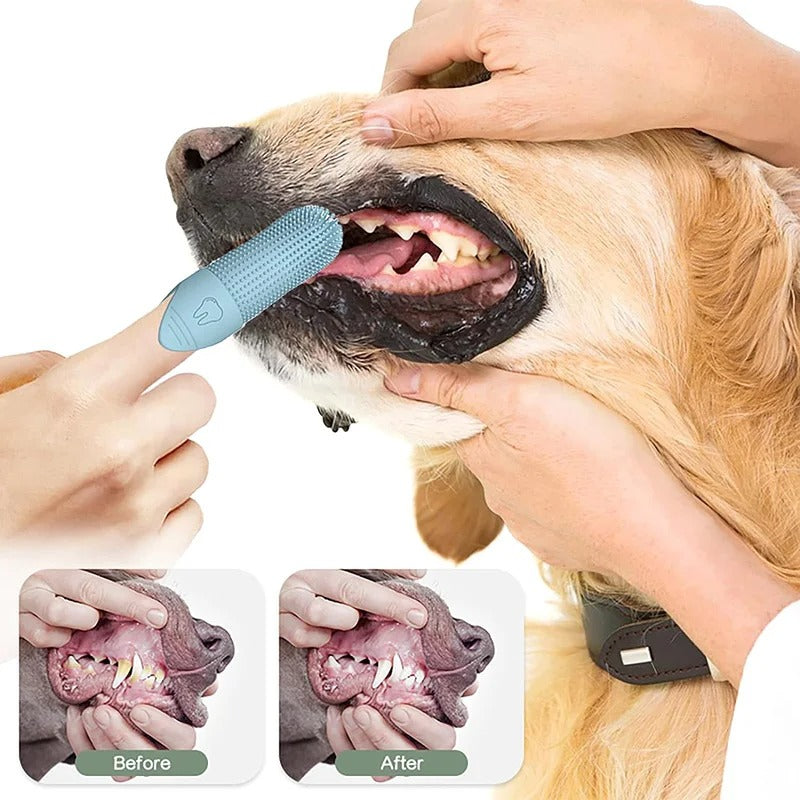 Brosse doigt rotative 360° pour chien