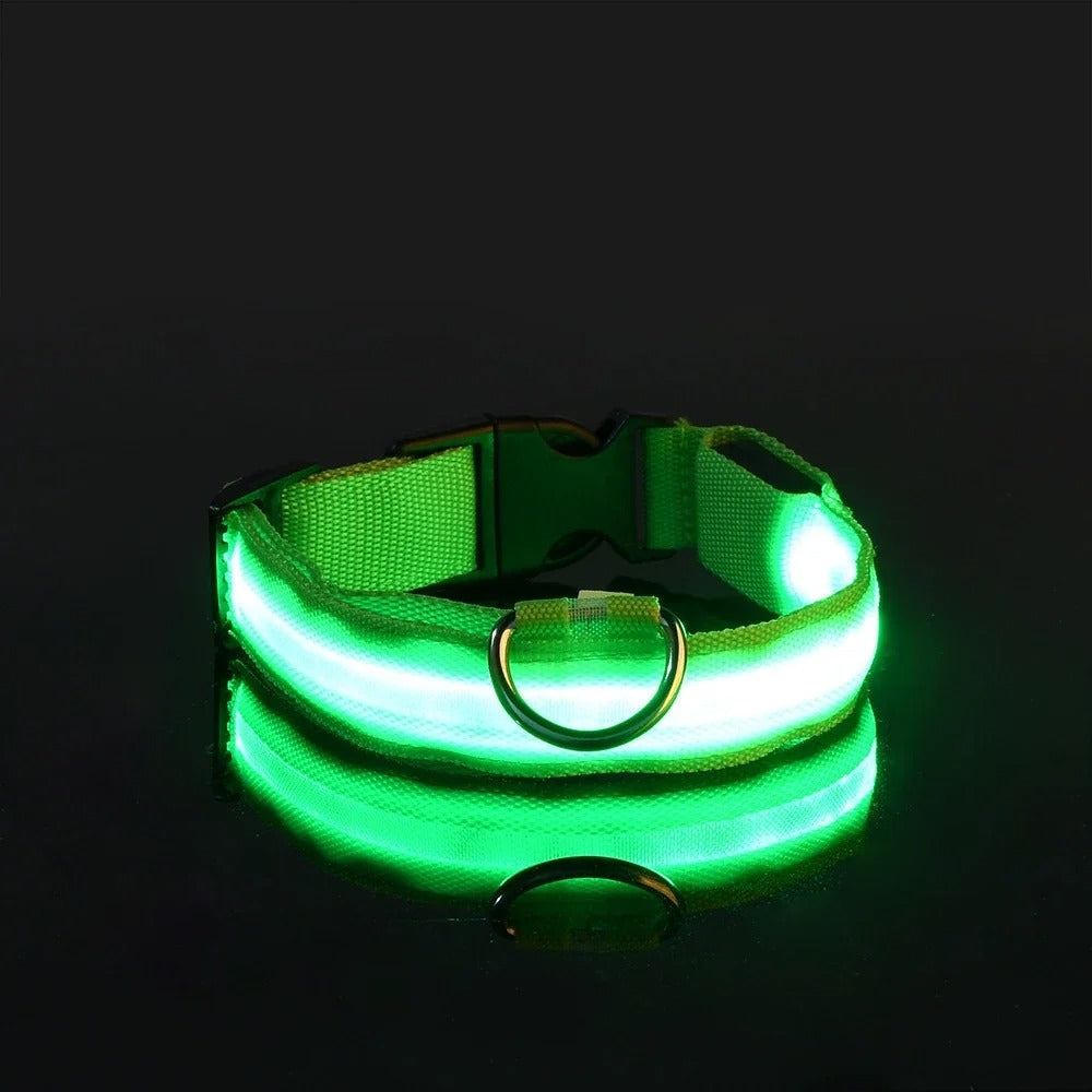 Collare e guinzaglio luminosi per cane